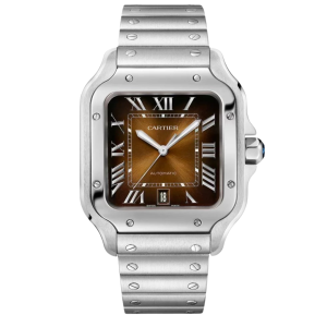 Montre Automatique pour Homme - WSSA0064 - Montre Automatique