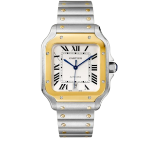 Montre Automatique pour Homme Or Jaune - W2SA0006