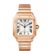 Montre Cartier Santos WGSA0018 Pour Homme